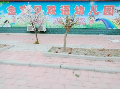 河北唐山海北鎮金寶貝幼兒園【育棟七巧板特色課程合作園】