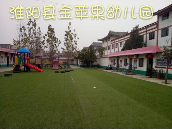 周口市淮陽縣金蘋果幼兒園【育棟七巧板合作園】